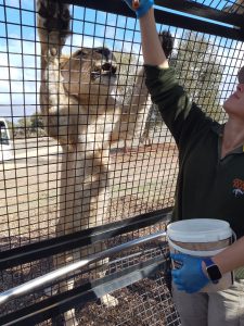 Embrace a Balanced Lifestyle